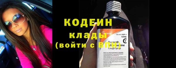 твердый Аркадак