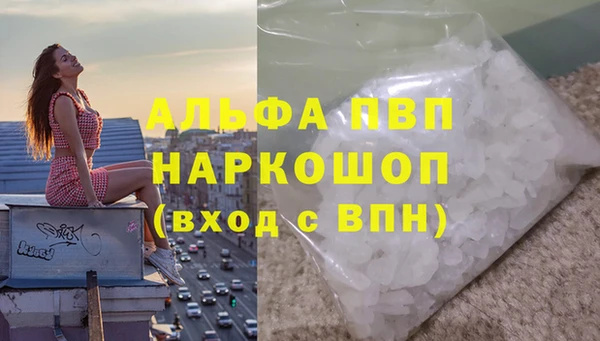 твердый Аркадак